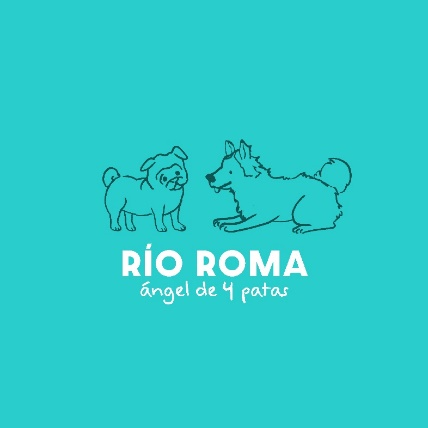 Río Roma derrocha amor por los lomitos en video de su nuevo sencillo “Ángel de 4 Patas”.